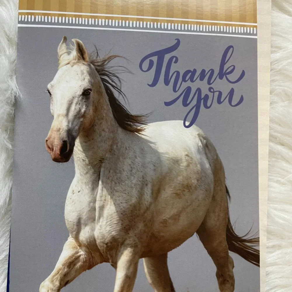 6 Assorted Greeting cards with matching print envelopes (PETA) Blank Inside